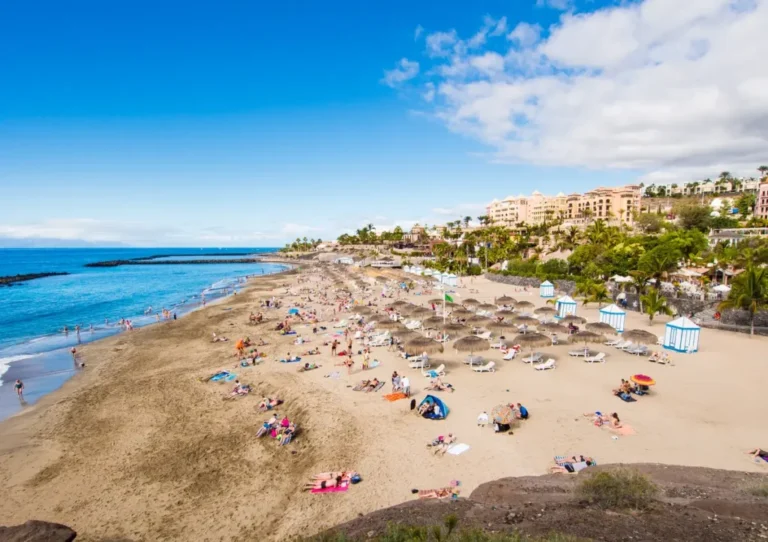 Migliori spiagge di tenerife sud 1024x722 1